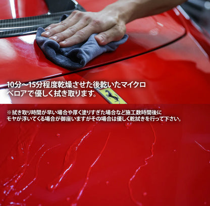 スパシャン クラシックトップ 150ml カーワックス