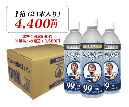 皇治×シリカ堂（1箱 / 500ml×24本）