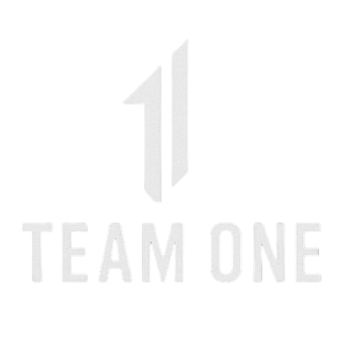 TEAMONE